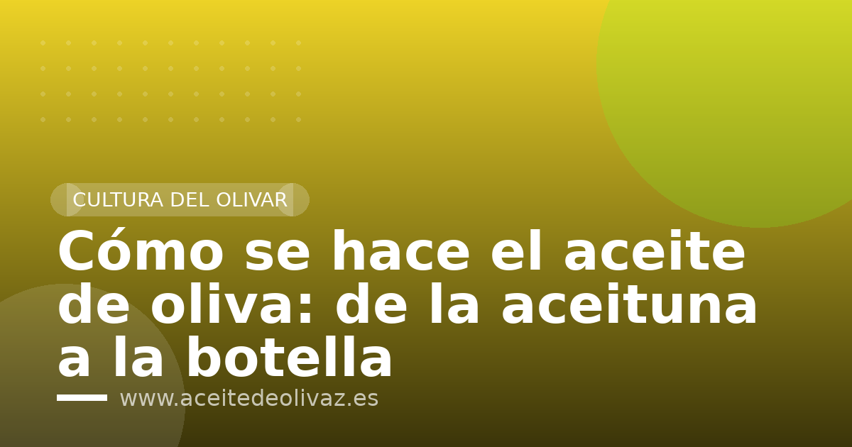 Cómo se hace el aceite de oliva: de la aceituna a la botella