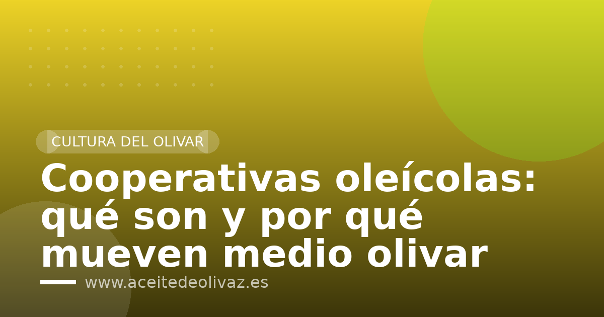 Cooperativas oleícolas: qué son y por qué mueven medio olivar