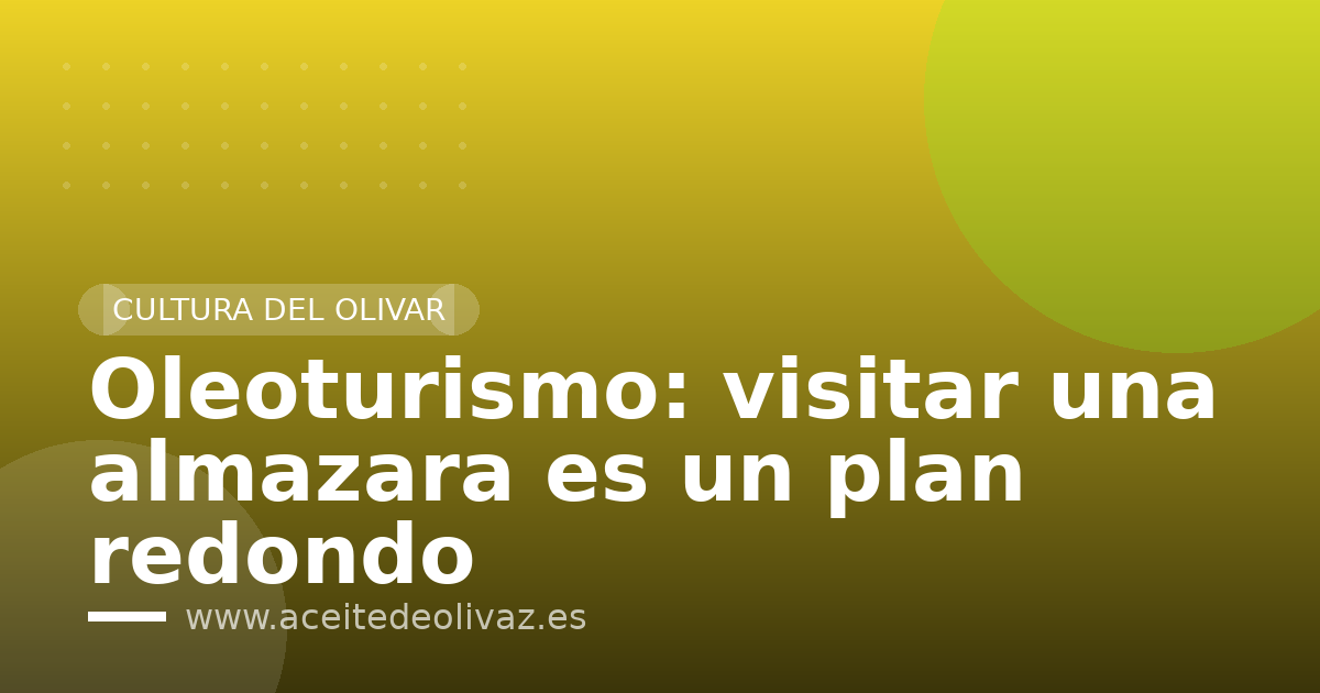 Oleoturismo: visitar una almazara es un plan redondo