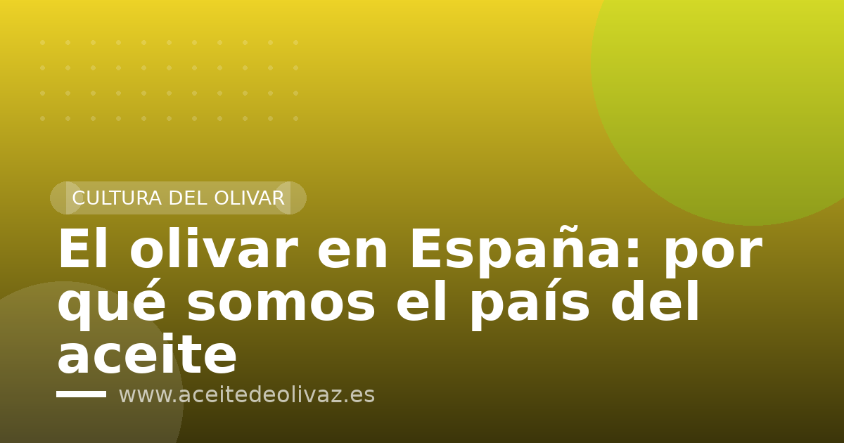 El olivar en España: por qué somos el país del aceite